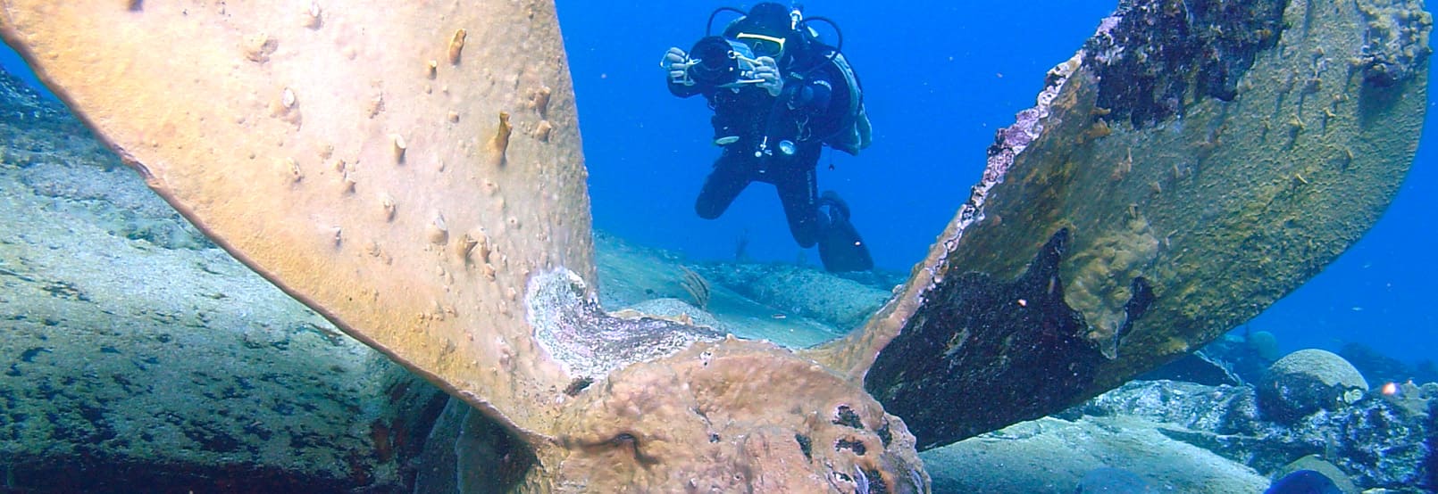 Aventura y Ecoturismo en costa-maya